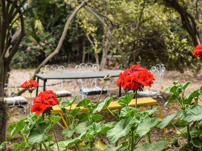 Olmué Casa Campo Lindo מראה חיצוני תמונה